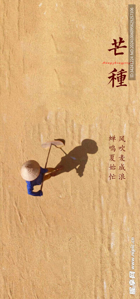 芒种节气宣传海报展板