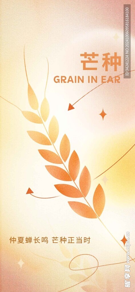 芒种节气宣传海报展板