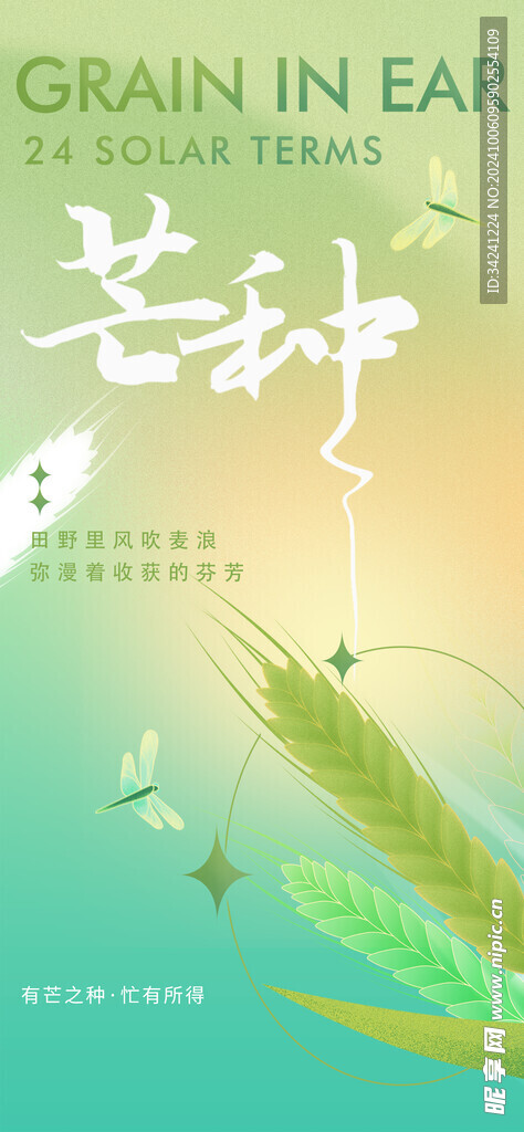 芒种节气宣传海报展板