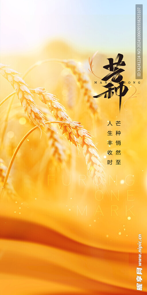 芒种节气宣传海报展板