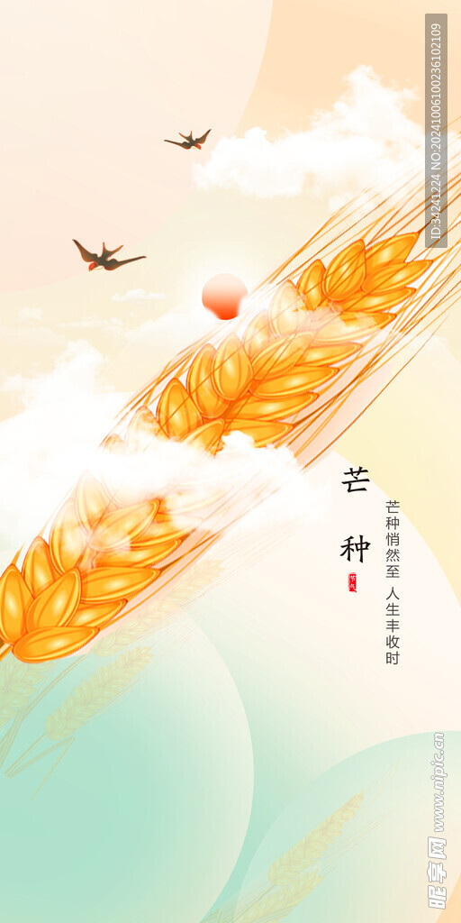 芒种节气宣传海报展板