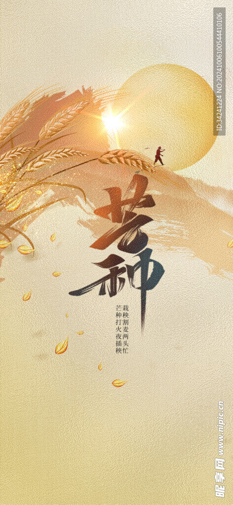 芒种节气宣传海报展板