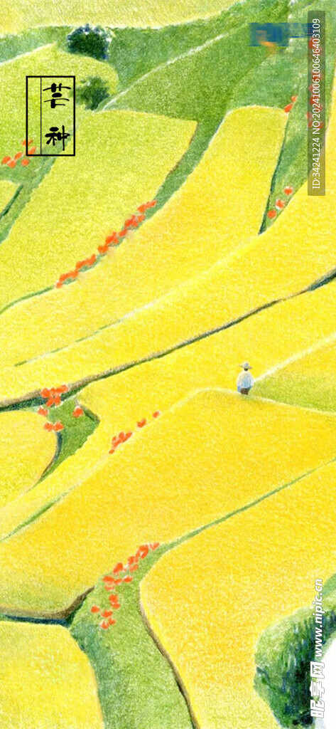 芒种节气宣传海报展板