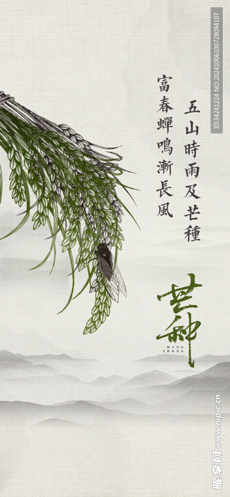 芒种节气宣传海报展板