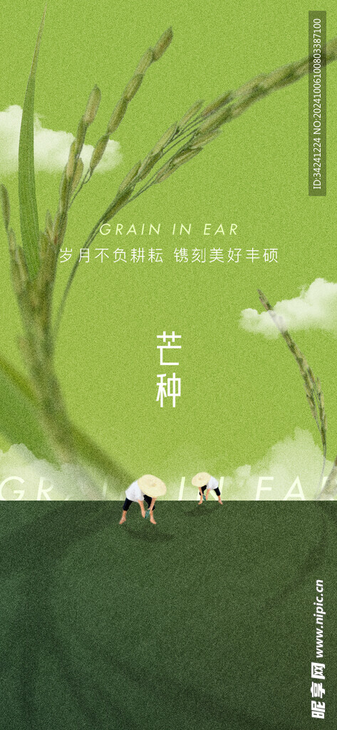 芒种节气宣传海报展板