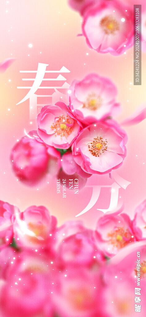 春分节气宣传海报展板