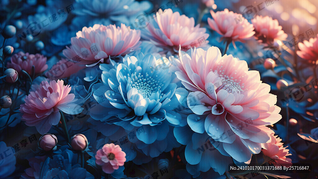 淡蓝色和淡粉色的花