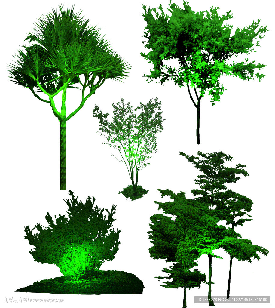 灯光树 照明 植物