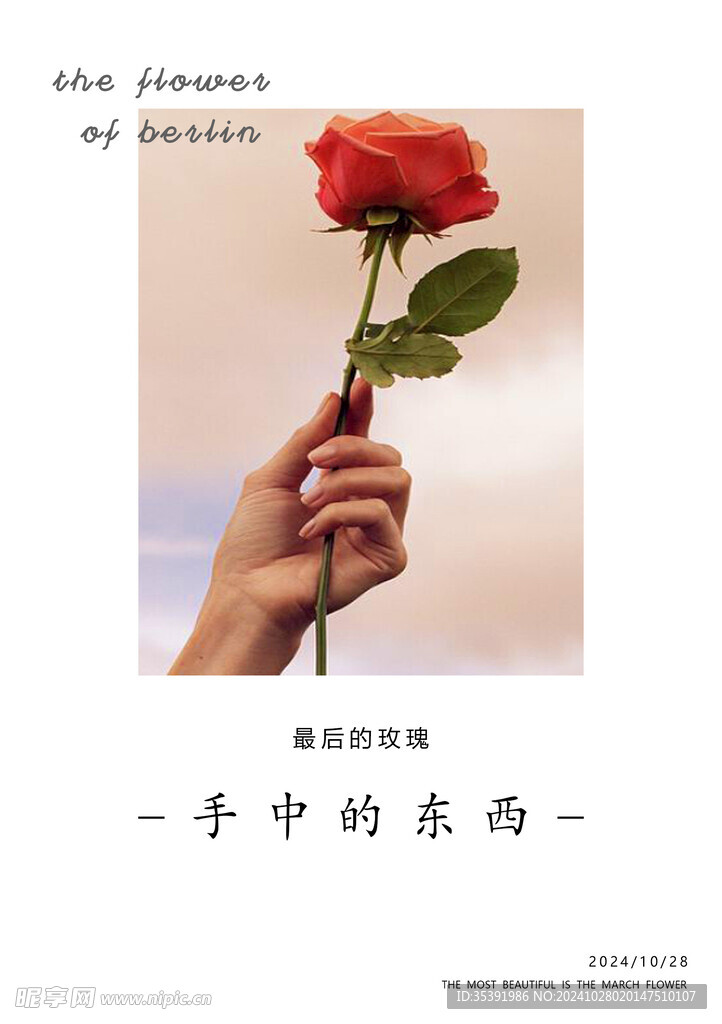 玫瑰花设计