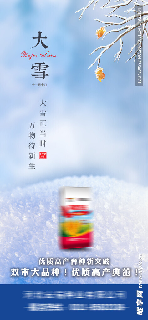 大雪海报