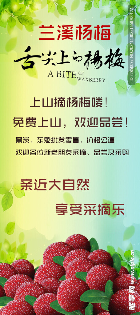 兰溪杨梅展架海报