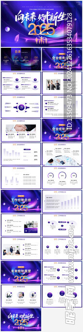 2025蛇年工作总结ppt