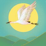 仙鹤唯美飞天山水青山