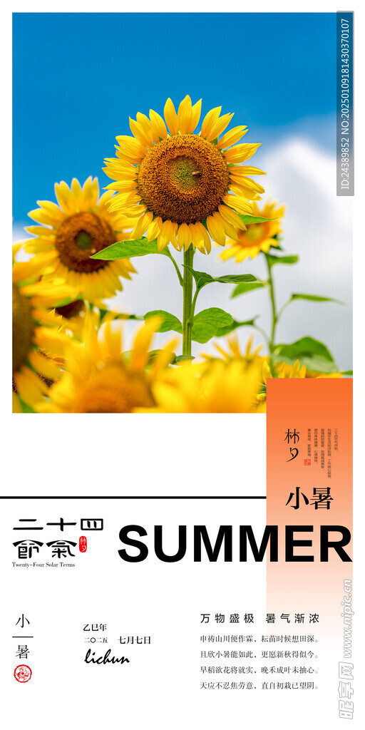 二十四节气小暑