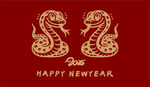 2025 新年快乐 蛇年大吉