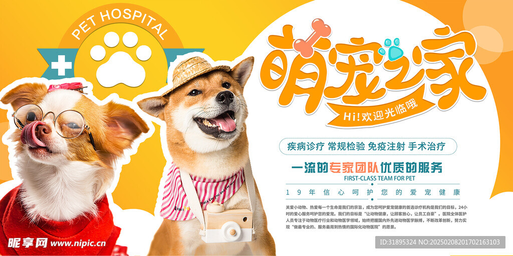 宠物店宣传画