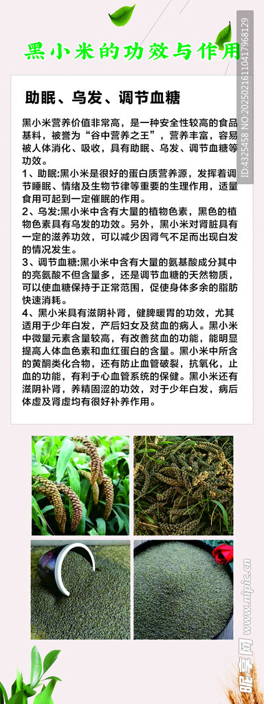 黑小米的功能与作用