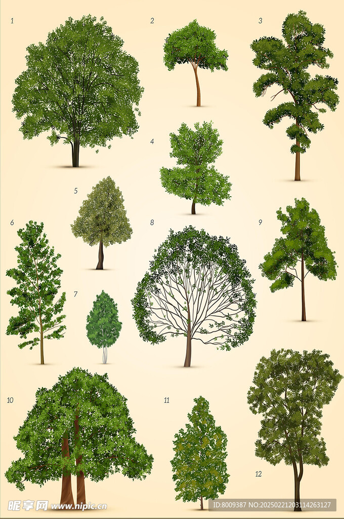 卡通树木矢量插画