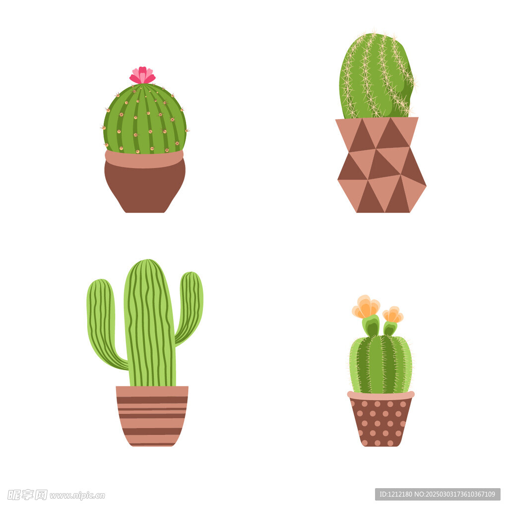 卡通仙人掌开花