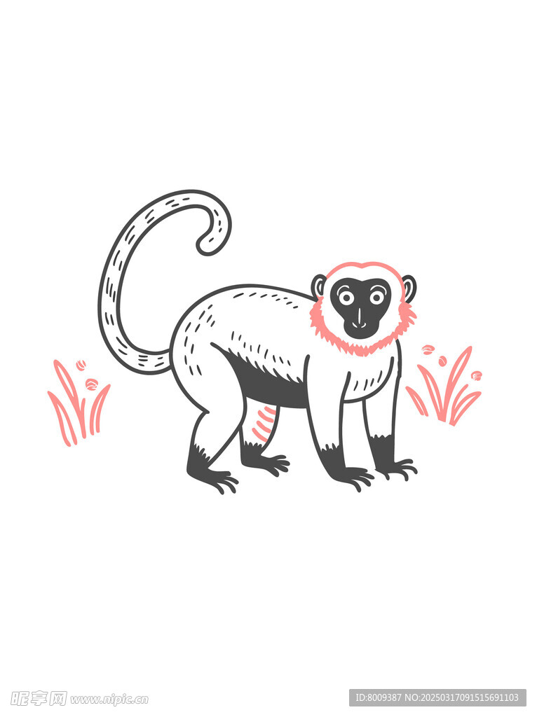 卡通长尾猴插画
