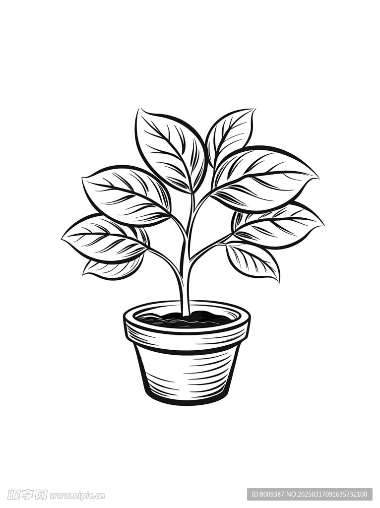 线描素描花卉绿植盆栽元素