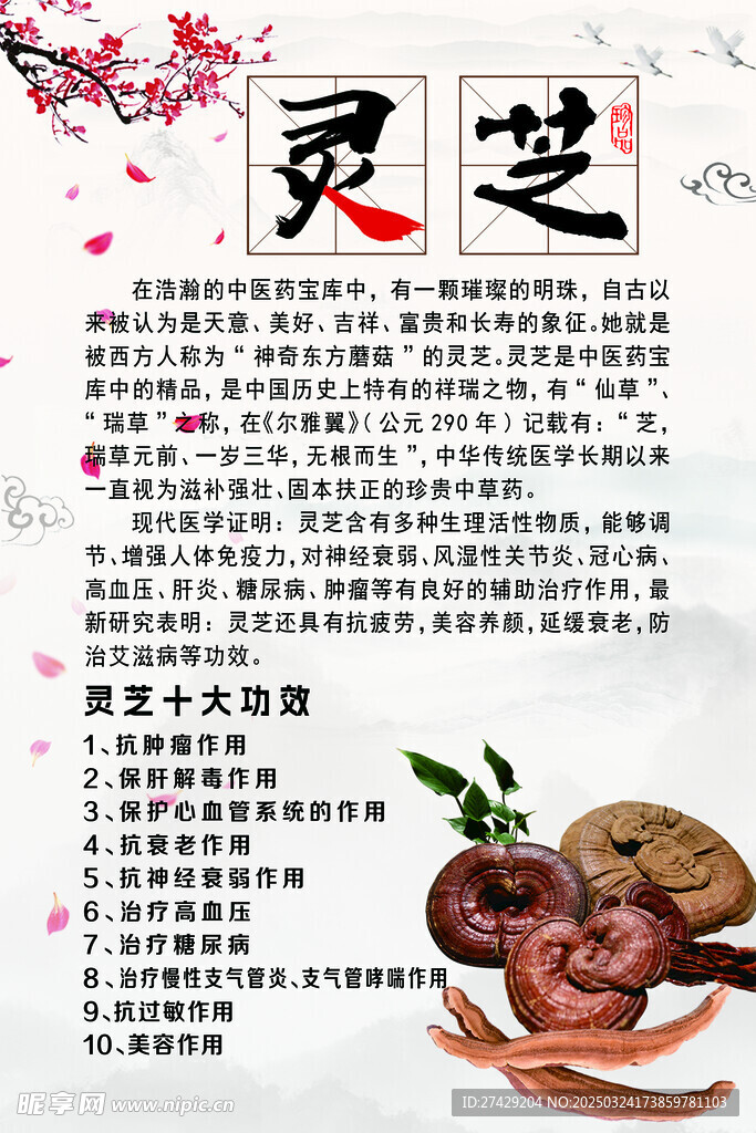 灵芝简介灵芝十大功效