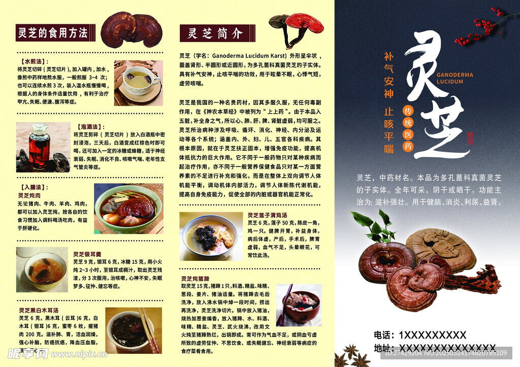 灵芝的食用方法灵芝简介