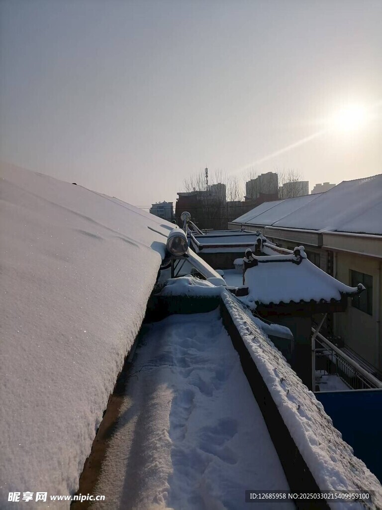雪景