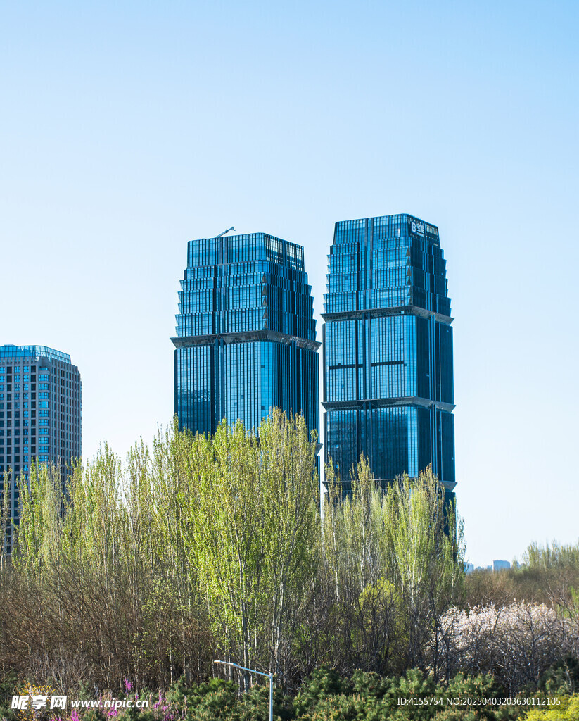 玻璃幕墙城市森林