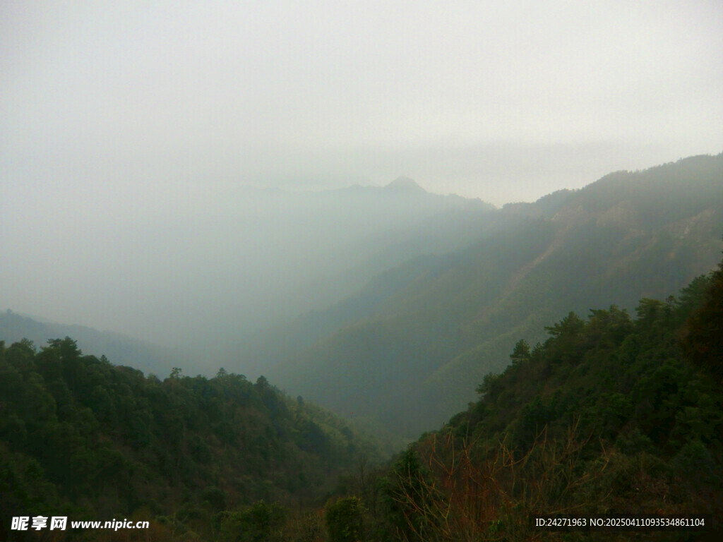 迷雾缭绕的山