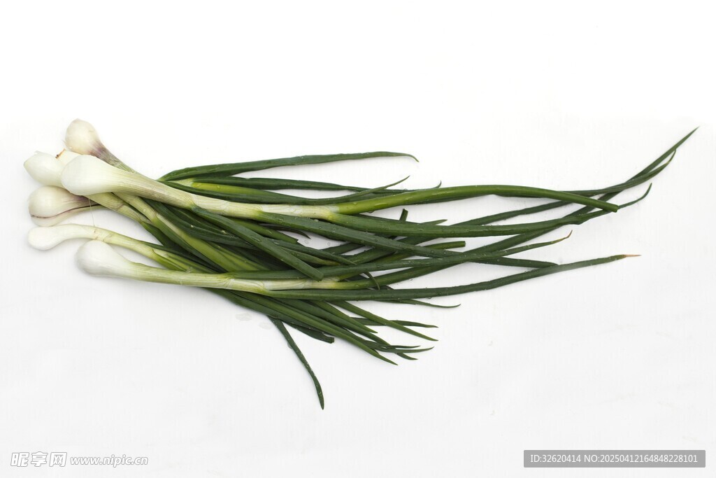 香葱 小葱