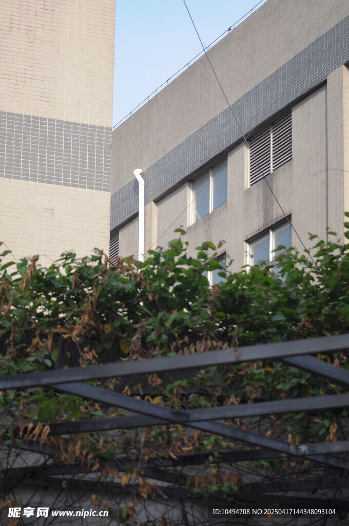 建筑旁的绿植与金属围栏