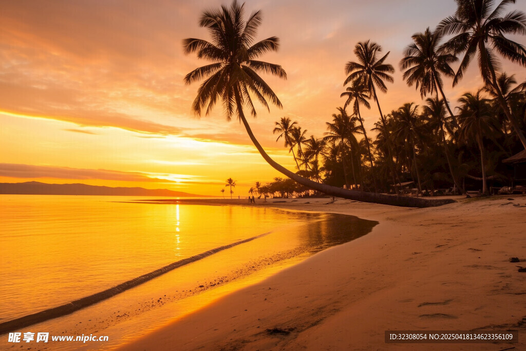 夕阳下的椰林沙滩美景