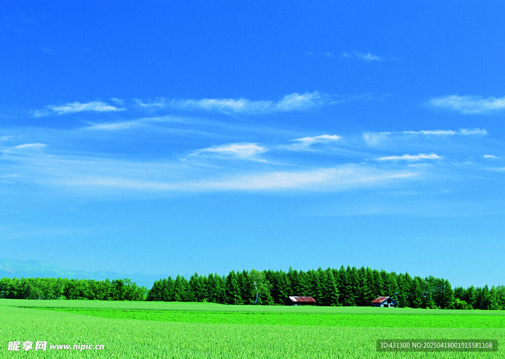 广袤绿野蓝天美景