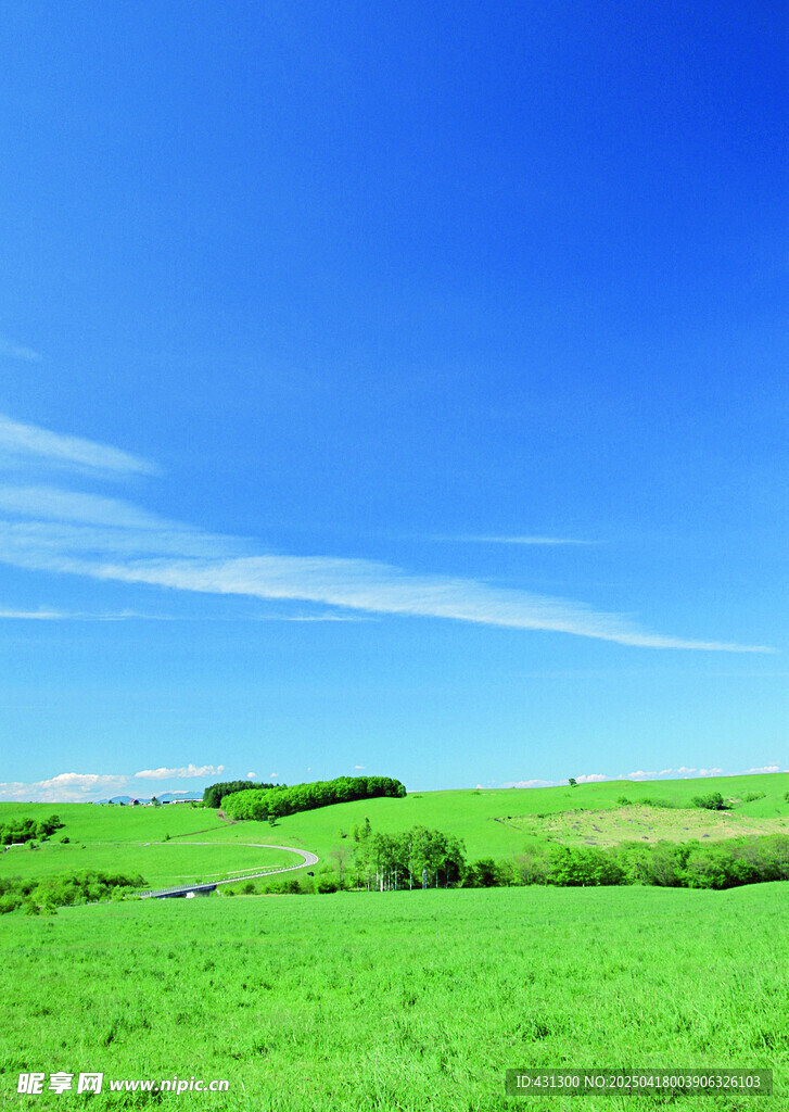 广袤绿野蓝天美景