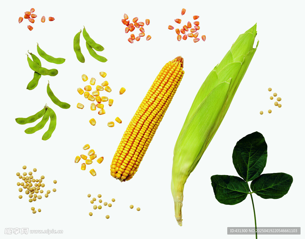 新鲜蔬菜与幸运草组合