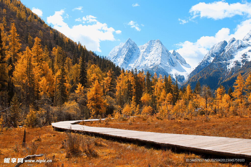 秋日山间栈道与壮丽雪山