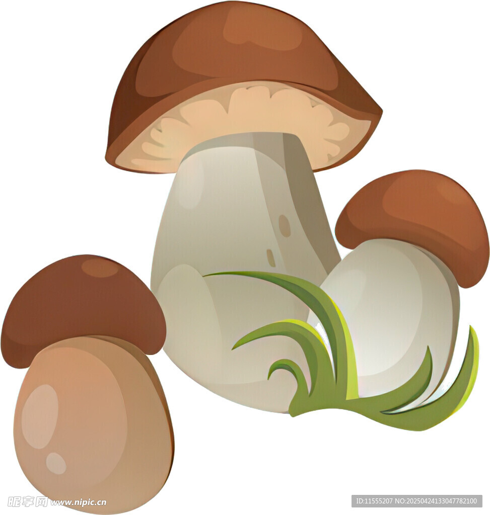 可爱蘑菇插画