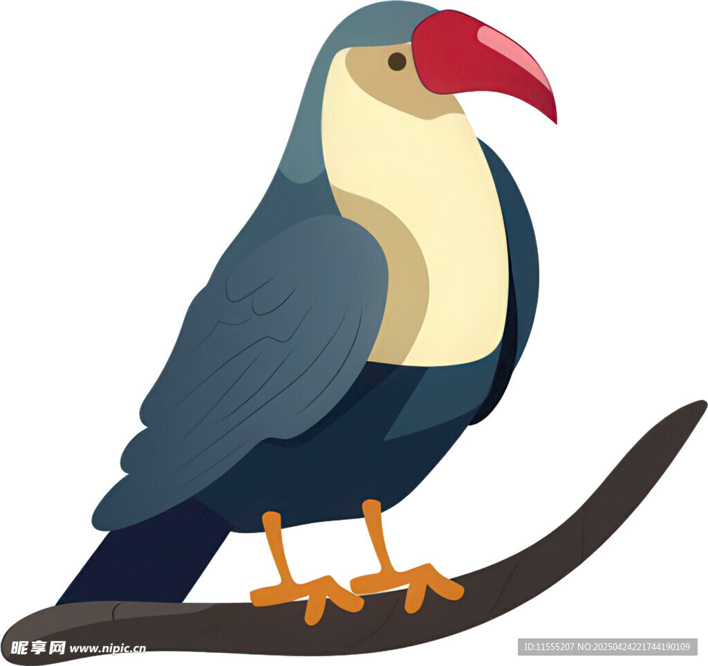 树枝上的巨嘴鸟