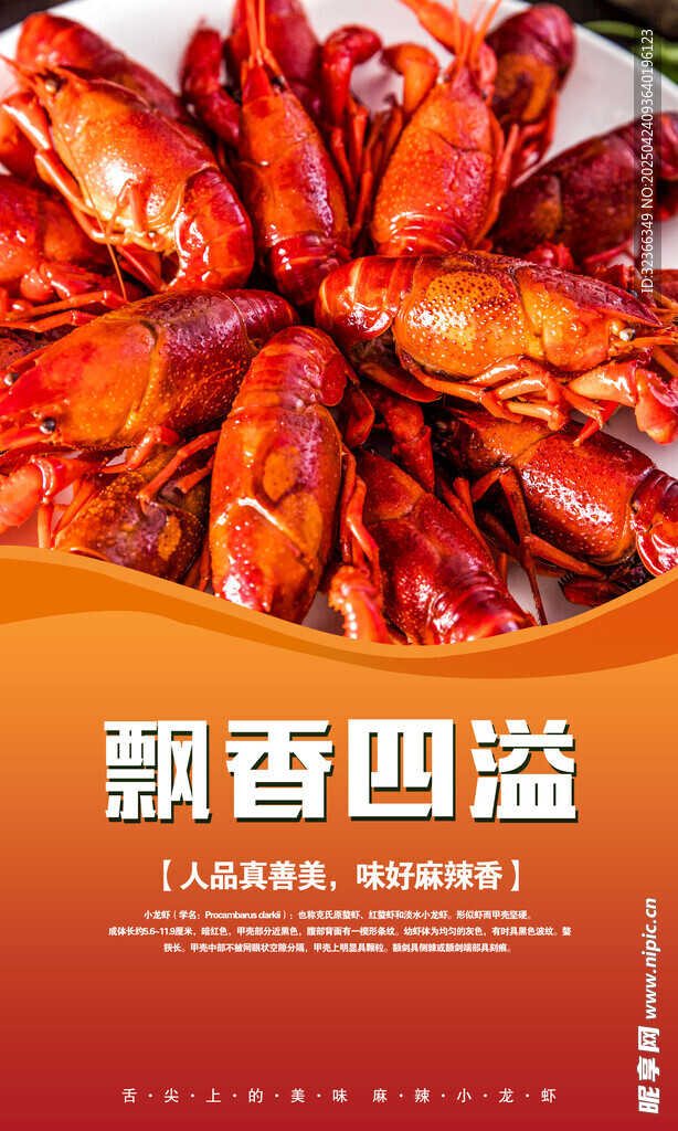 小龙虾 