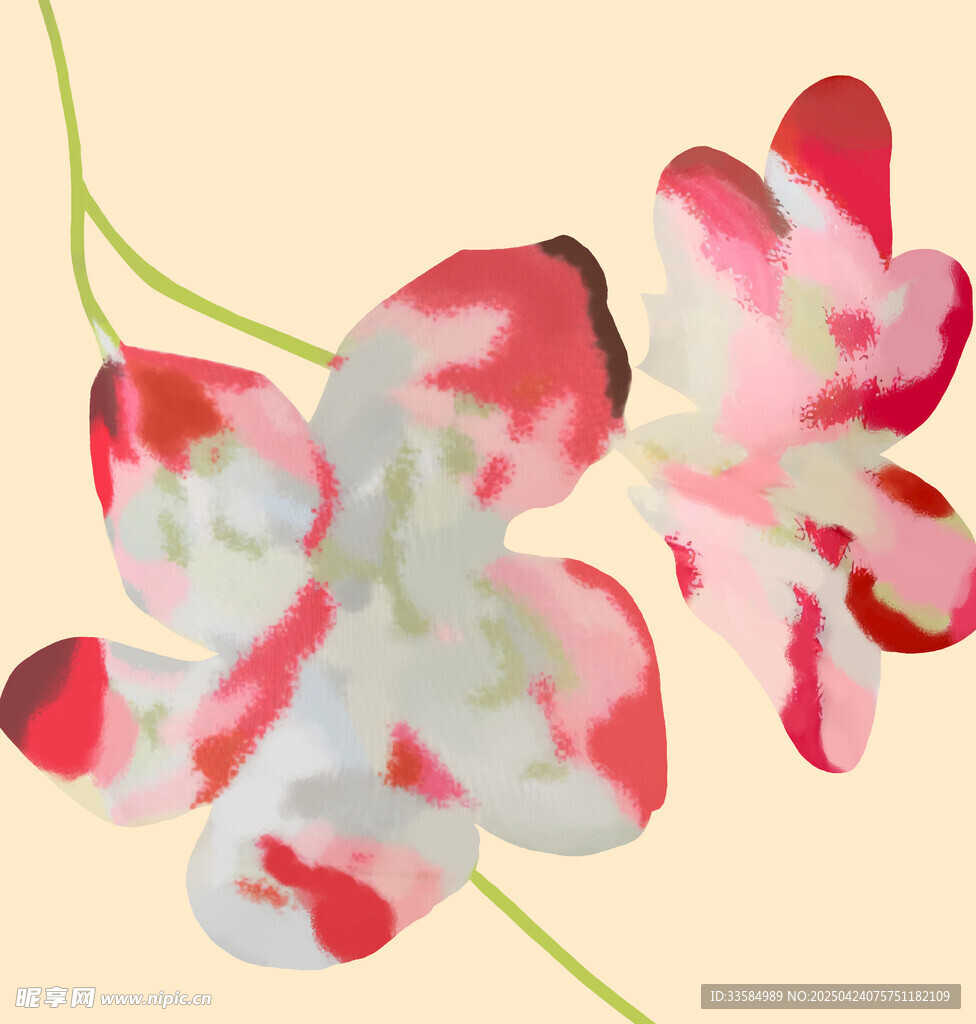 粉白相间花朵特写