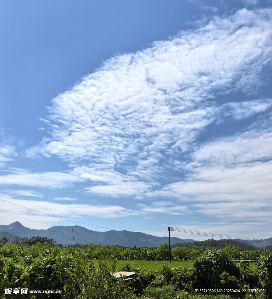 蓝天白云下的绿野风光