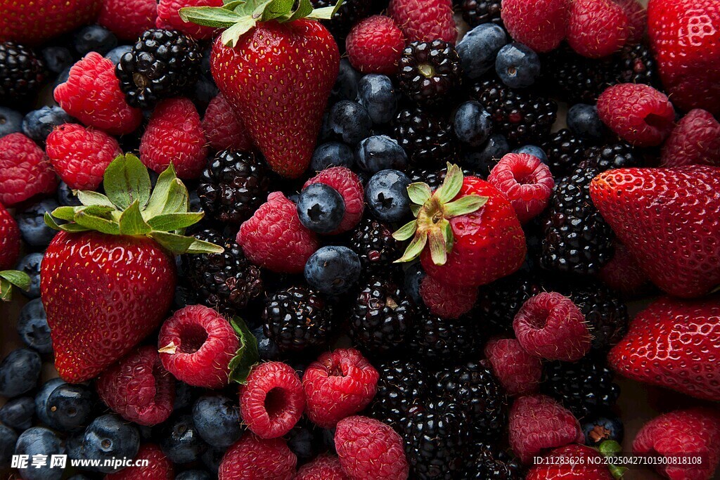 多彩浆果大集合