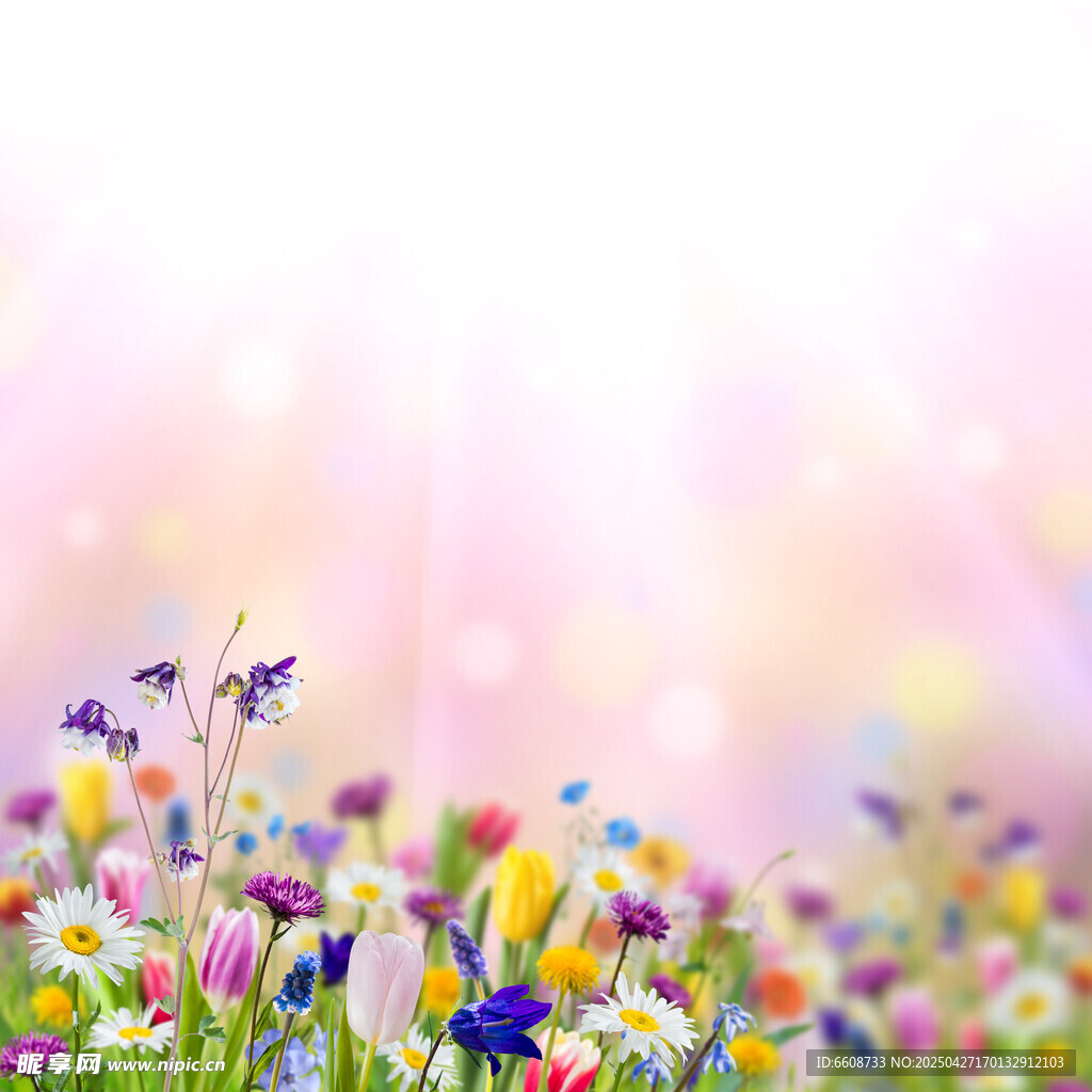 缤纷花海 梦幻春日景象