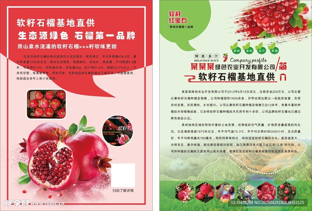 石榴宣传页