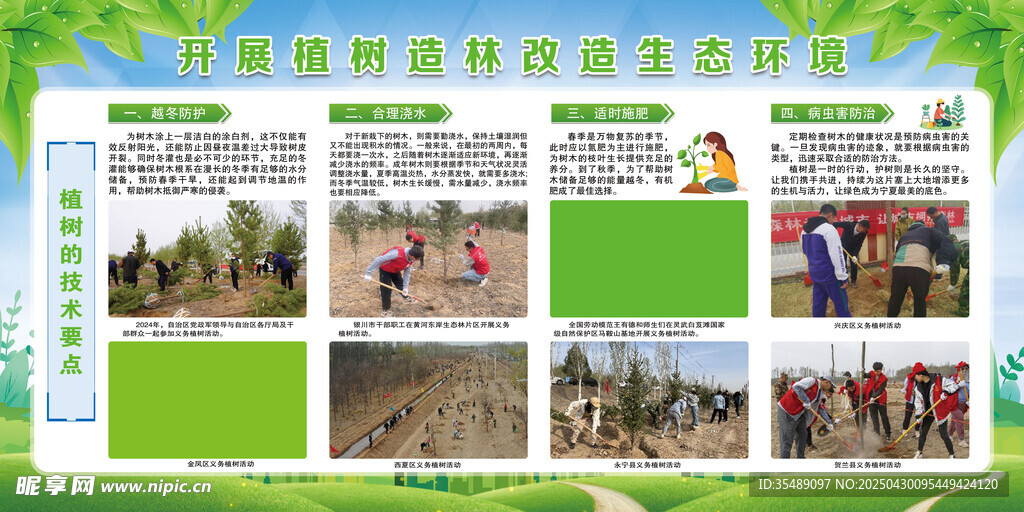 开展植树造林改造生态环境