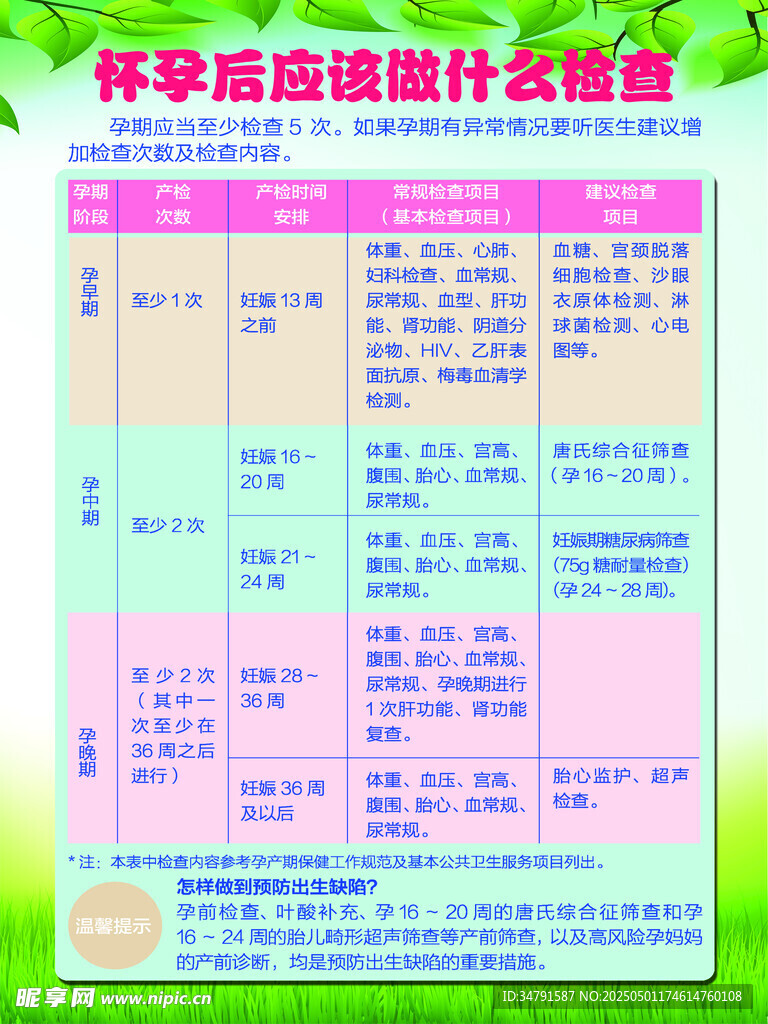 怀孕后该吃什么食物表