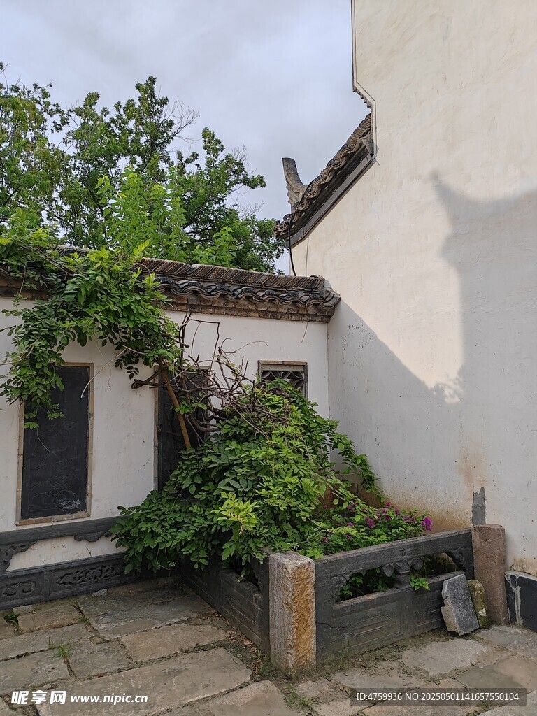 中式庭院一角绿植环绕