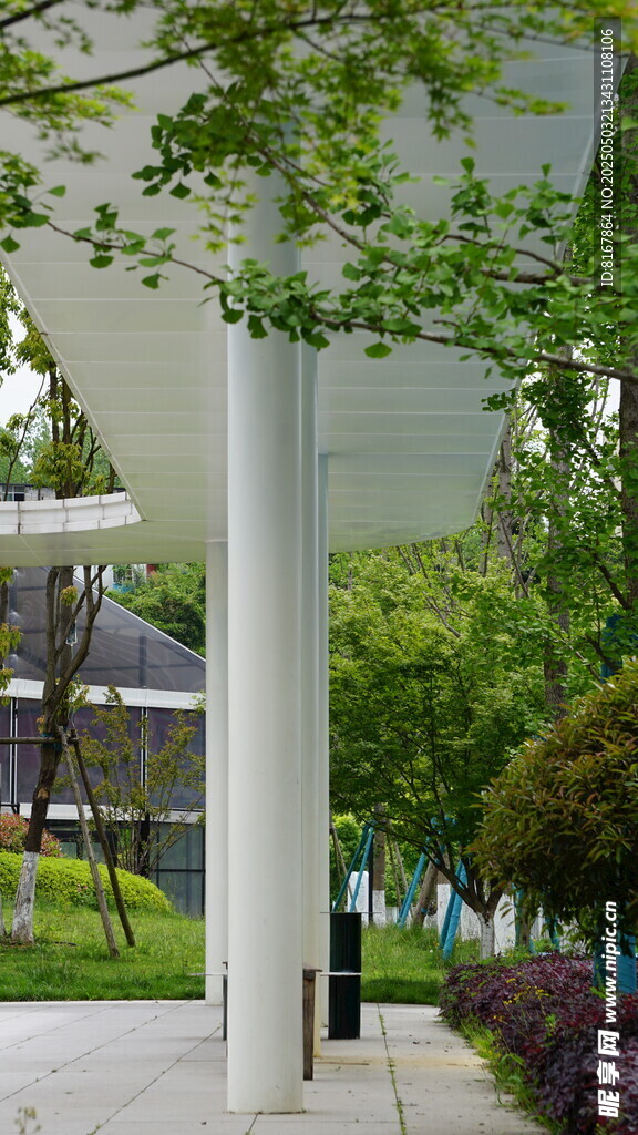 户外绿植环绕的现代建筑空间