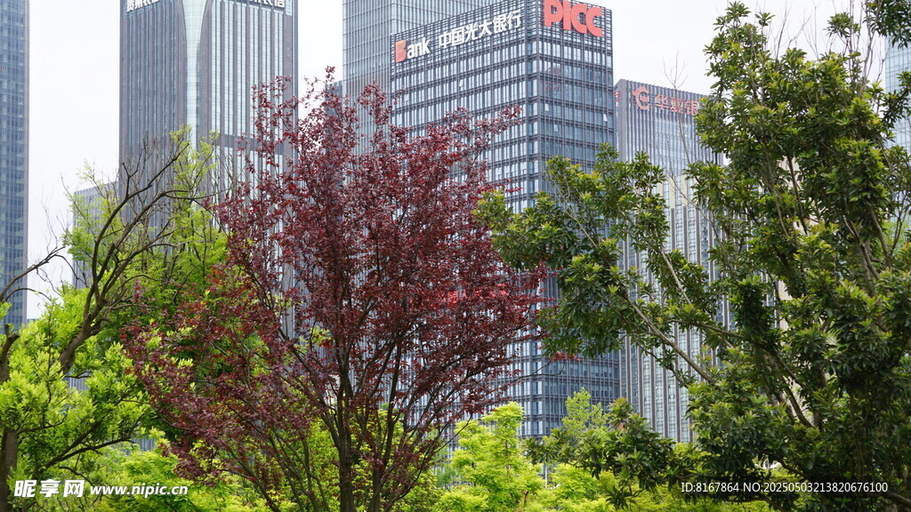 城市中繁茂的绿树与高楼